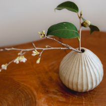 お部屋に春を届ける｜codomono「倒れにくい花入」