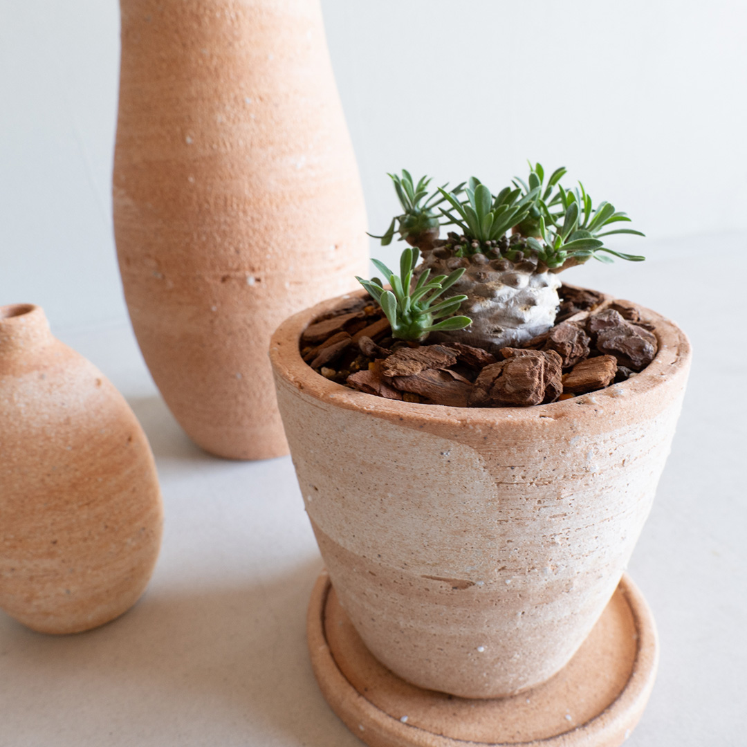 緋色のHIBI植木鉢に小さな多肉植物を植えた寄り写真