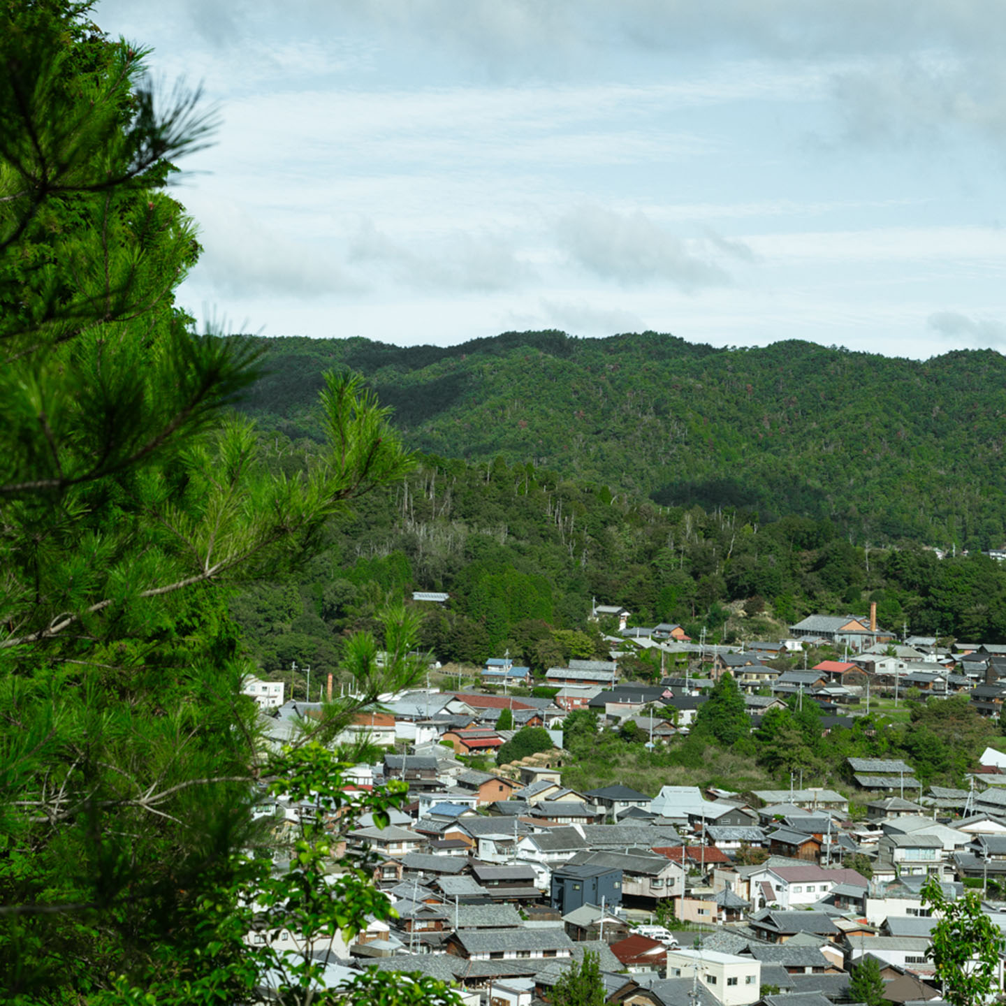 緑の山々に囲まれた信楽の町並み